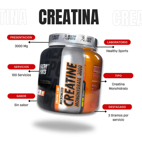 CREATINA HEALTHY X100
